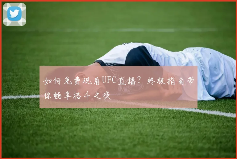 如何免费观看UFC直播？终极指南带你畅享格斗之夜